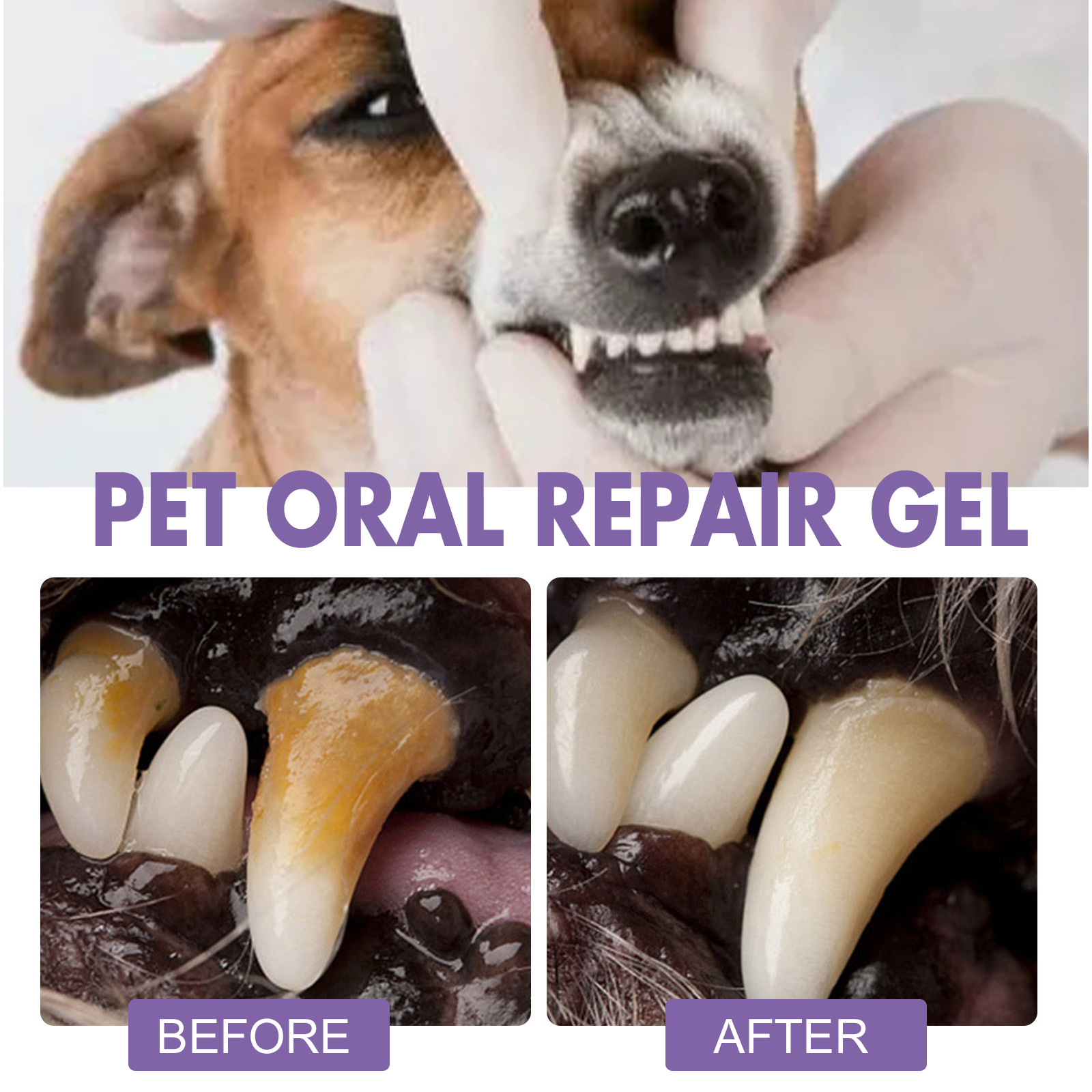 Pet Oral Repair Gel Puppy Tart - Teeth Whitening Paste ulasan dan harga
