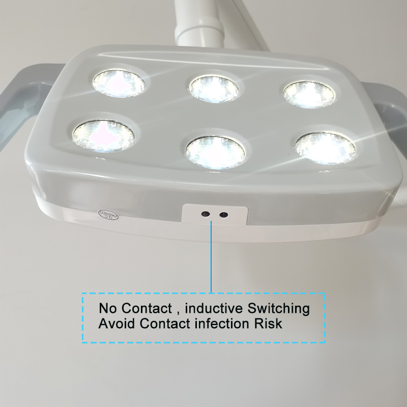 6LED Dental LED Lamp Oral Ligh - Teeth Whitening Light ulasan dan harga