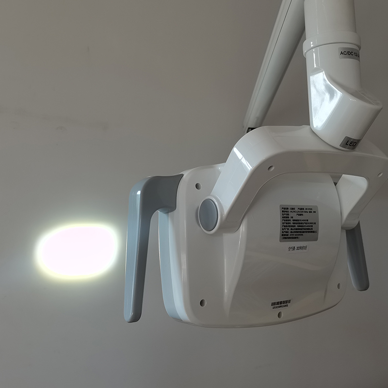 6LED Dental LED Lamp Oral Ligh - Teeth Whitening Light ulasan dan harga