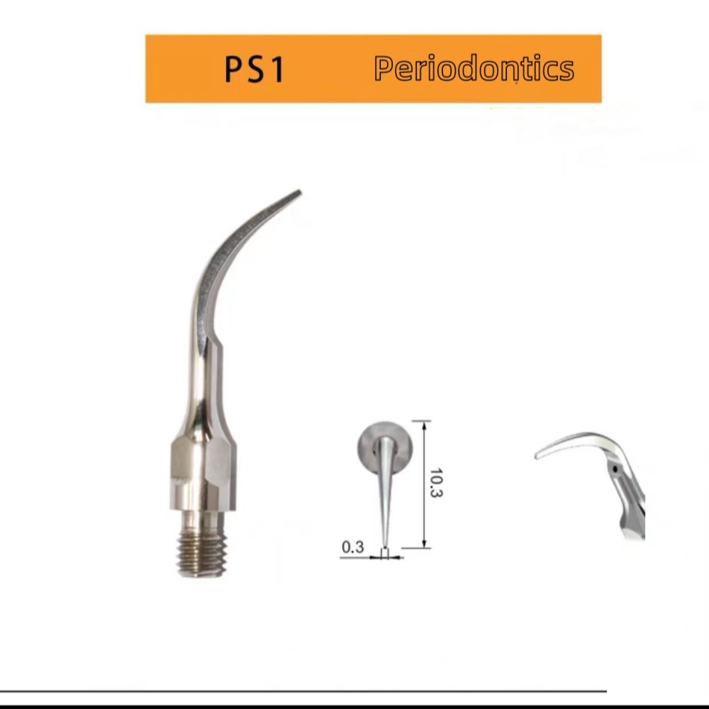 Teeth Cleaning Ultrasonic Dent - Teeth Whitening Lab ulasan dan harga